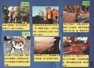 野貓散步地圖 (三)