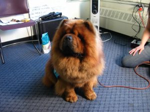 069d9cd25a97d75d36212a37cf7a6f3f