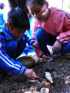 0ca34323b100a0e16065d211a598d1fe