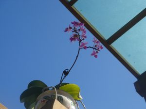 34881b8882798e6c95711d6bcfcd403c