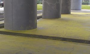 9d420ea9134f51f1b7d6e409defa19a0