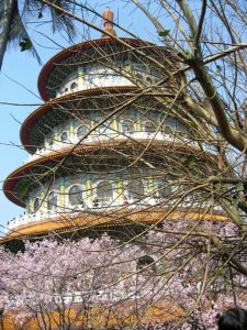 A0e2fbcdd218693394d187e767c5271e