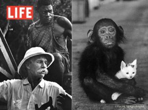 Ae4bbf432d7a347a7d7b6f051b071f94