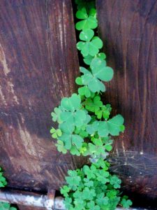 Bd1351b408feaa7a7bb52dcdff55aef5