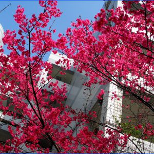 D223ee4fdebdcd40ae2cd65f88141ed1