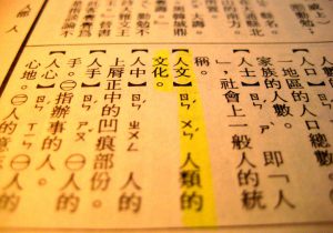 D95ac1e7d6d78552526cbaae66d68531